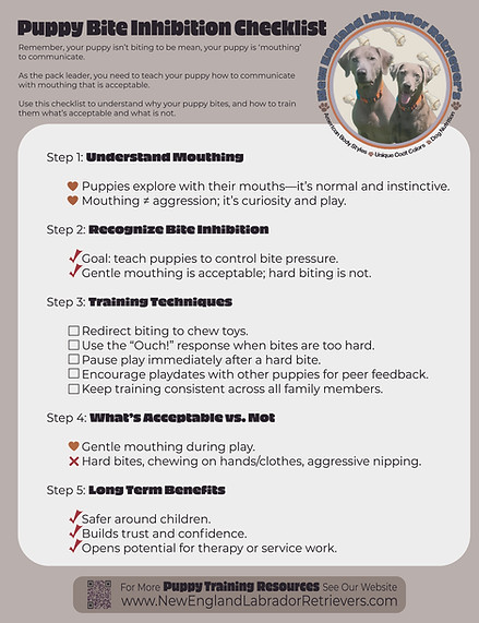 Puppy Bite Inhibition Checklist JPEG.jpg