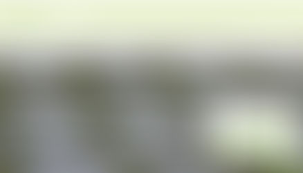 Vista LandCare SEO Website project 