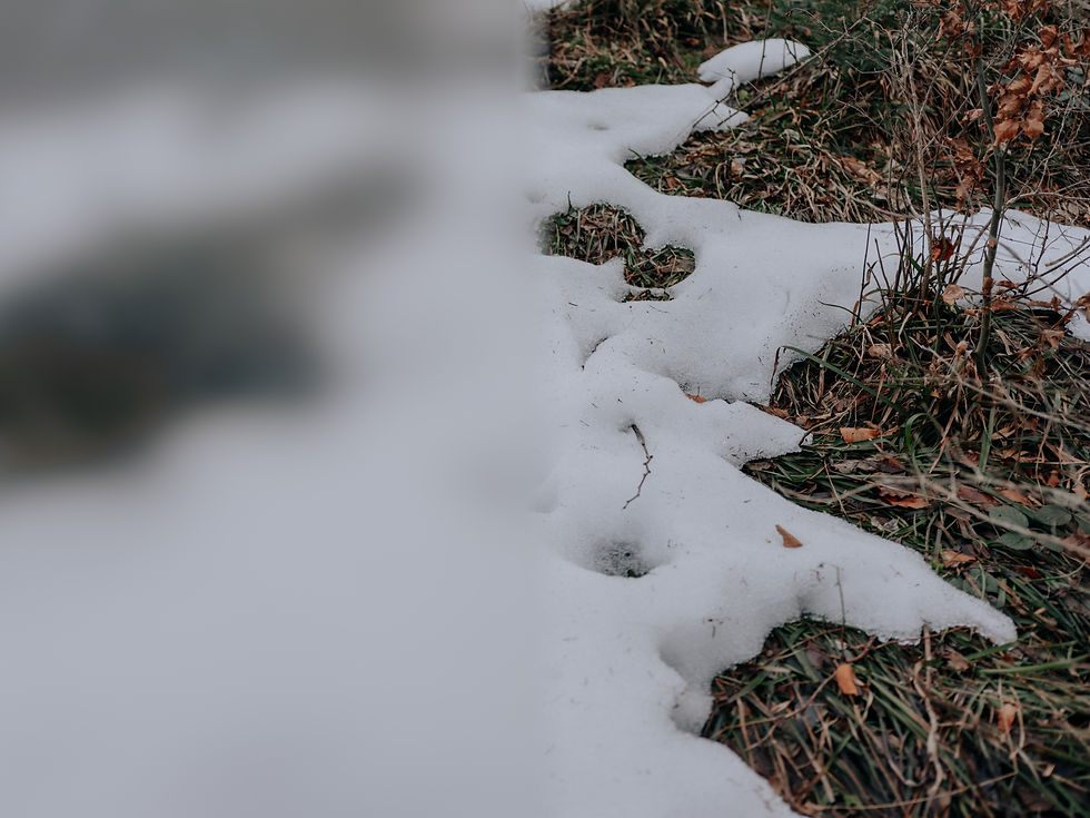 Schnee|zeichen
