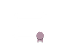 sercura-Icones_Artboard 3.png