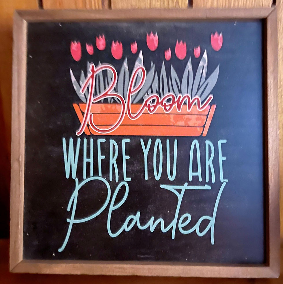 Bloom Where you are Planted Sign