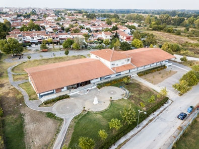 Συμμετοχή των τμημάτων της ΣΤ Τάξης σε κινηματογραφική προβολή