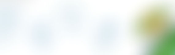 Οικολογικά Σχολεία / Δίκτυο Eco Schools