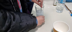 20220328_104735.jpg