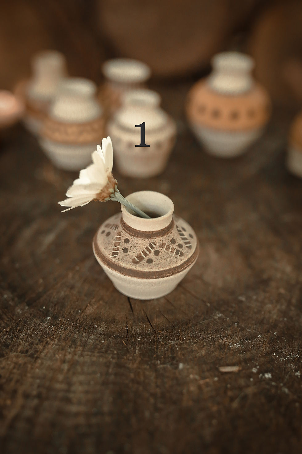 Miniature : Miniatures "Soliflore"