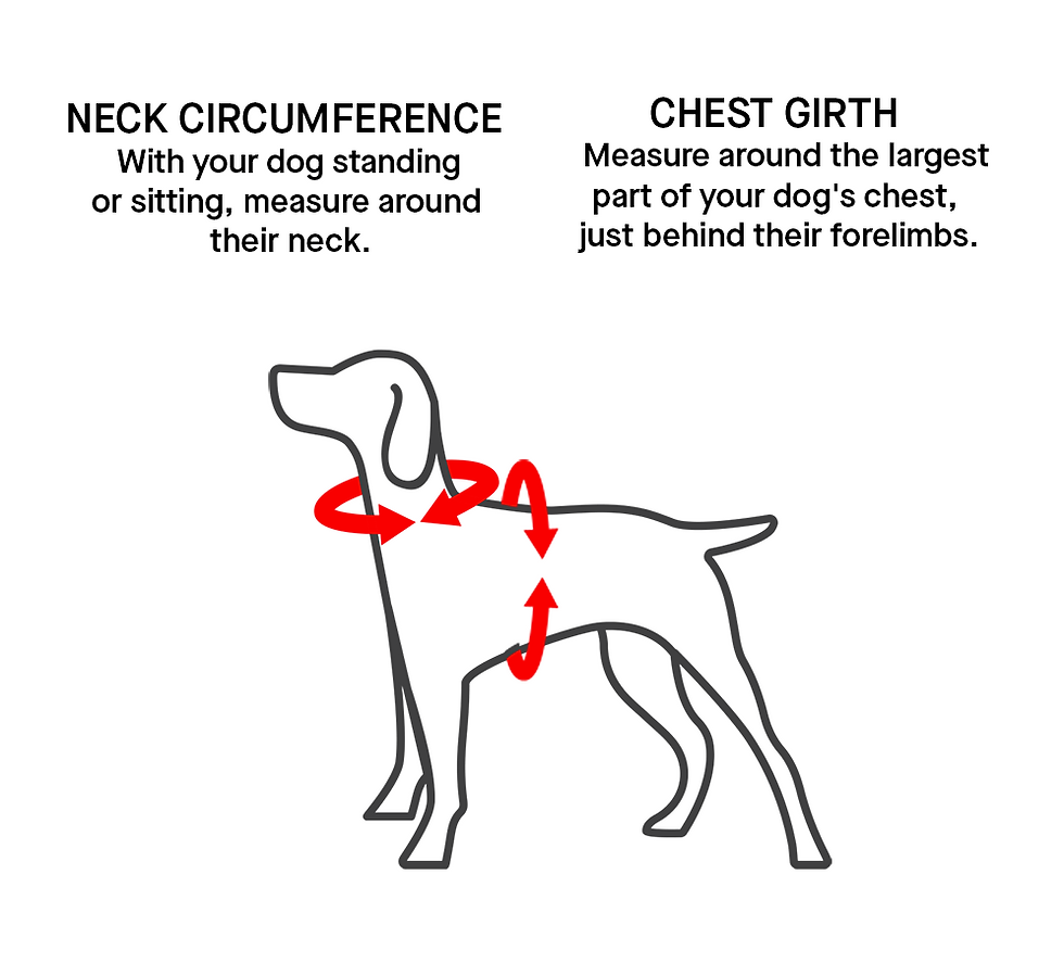 Thumbnail: Canada Pooch Everything Harness