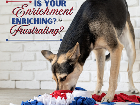 Is Your Enrichment Enriching or Frustrating