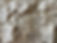 IMG_0106.jpeg