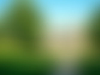 Countryside Comforts: A Holiday Cottage Surrounded by Nature