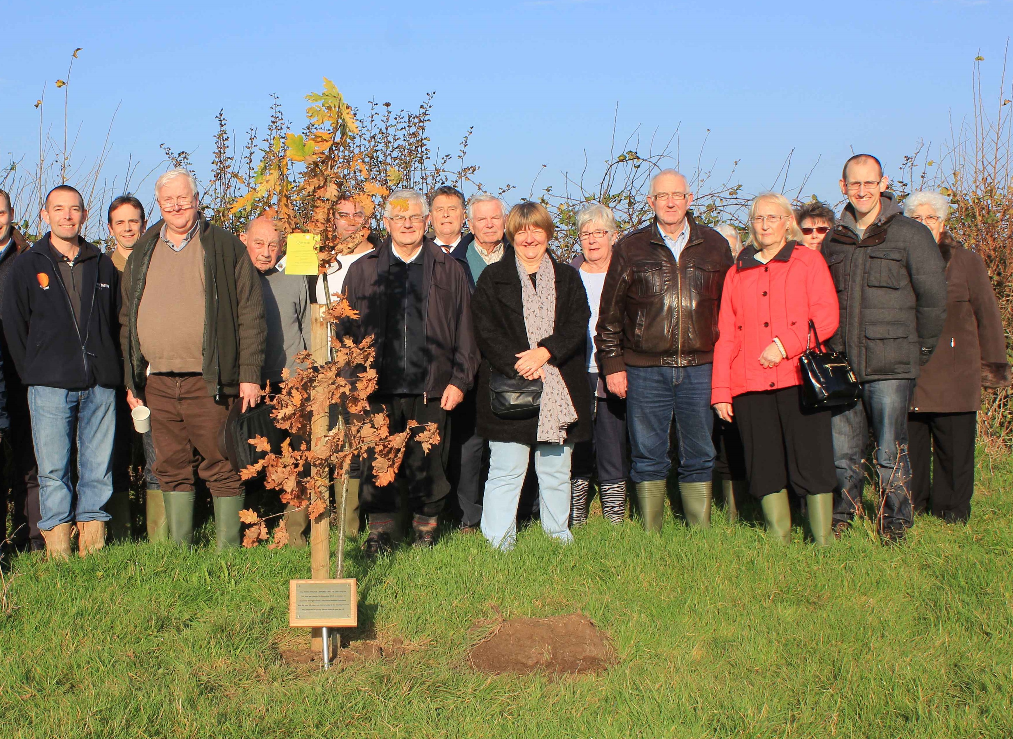 2014 Tree planting