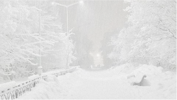 SNOWY22.png