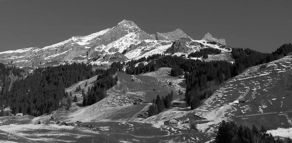 DSC_3346.jpg