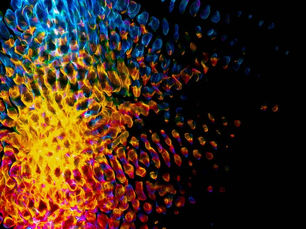 From Pixels to Masterpieces: The Rise of Digital Painting