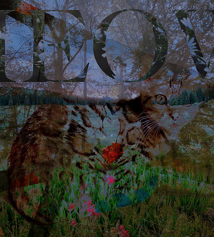 Mask 2-Camryn (1).jpg