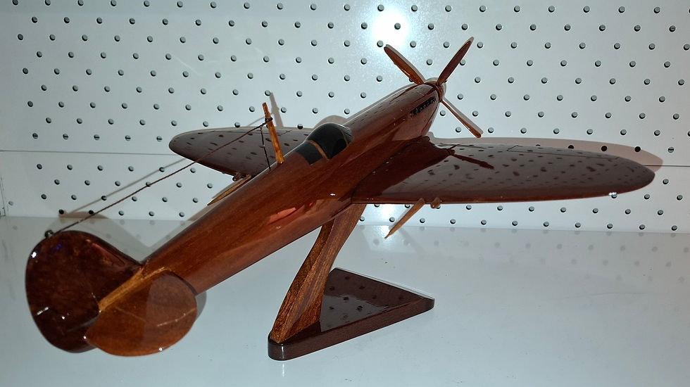 Thumbnail: Prachtig mat geverfd eenmotorig vliegtuig.