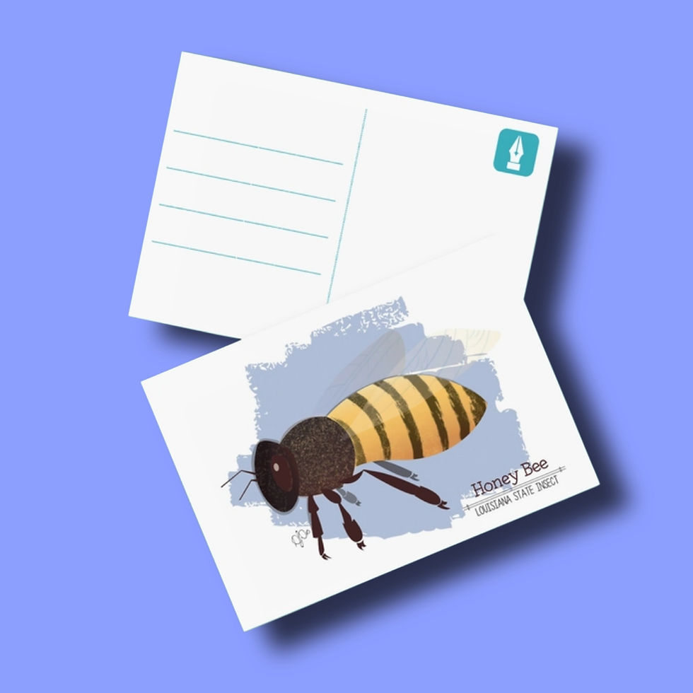 Thumbnail: Louisiana Symbols Postcard Set Honey Bee