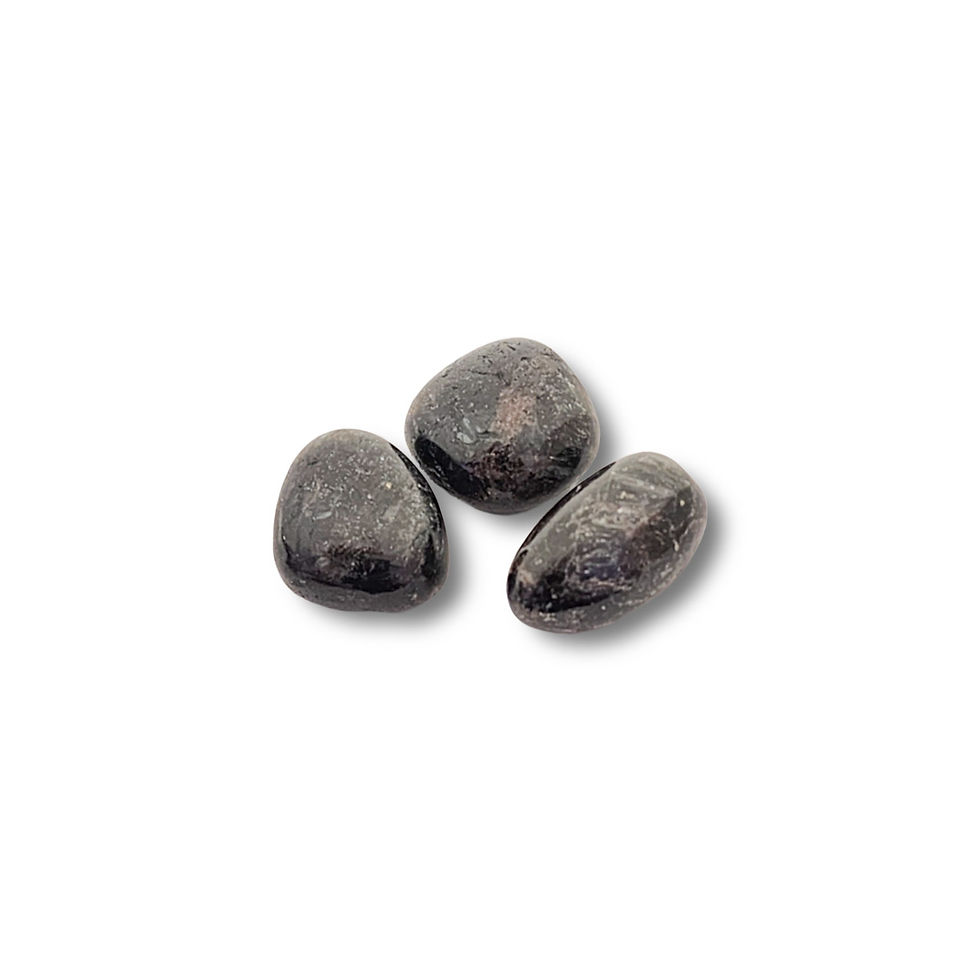 Nuummite Tumbled