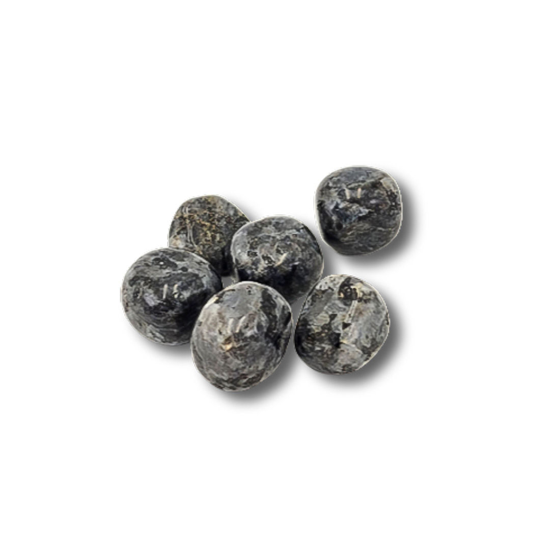 Larvikite Tumbled