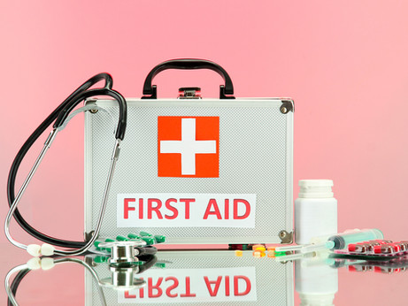 What is the "Harm Reduction Model?"