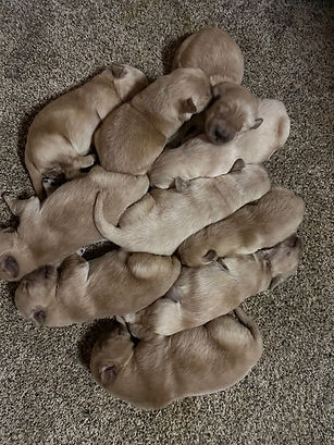 Sundae's with 2 from parlor.jpg