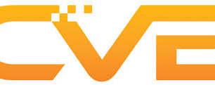 Vulnerability Management: Is It the Right Way to Do Security?