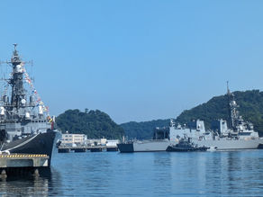 横須賀市のビジネスを強化する　      経理代行サービスの利点