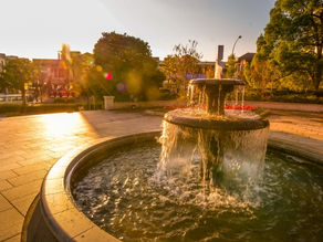 会社の成長を支える！横浜市泉区で最適な記帳代行サービスの選び方