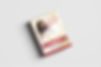 02-Bookcover-Mockup_900x copy.jpg