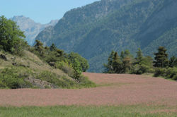 2014-06-11-HA-Autour du lac de Siguret (65)