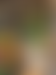 The Farmstand by Dairy Boy