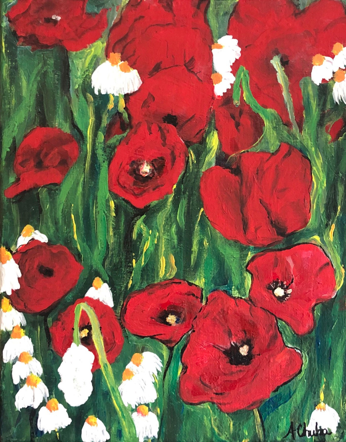 Poppies
