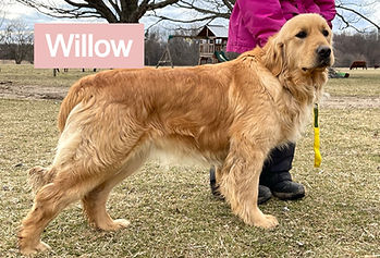 image_6487327 (2)_edited.jpg