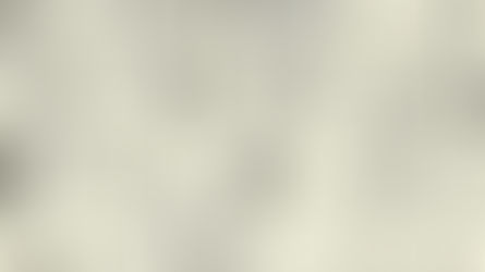 De mi amor por los libros