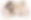 Screenshot 2025-12-19 at 2.29.23 PM.png