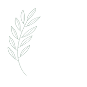 Ivy + Joy leaf-07-08.png