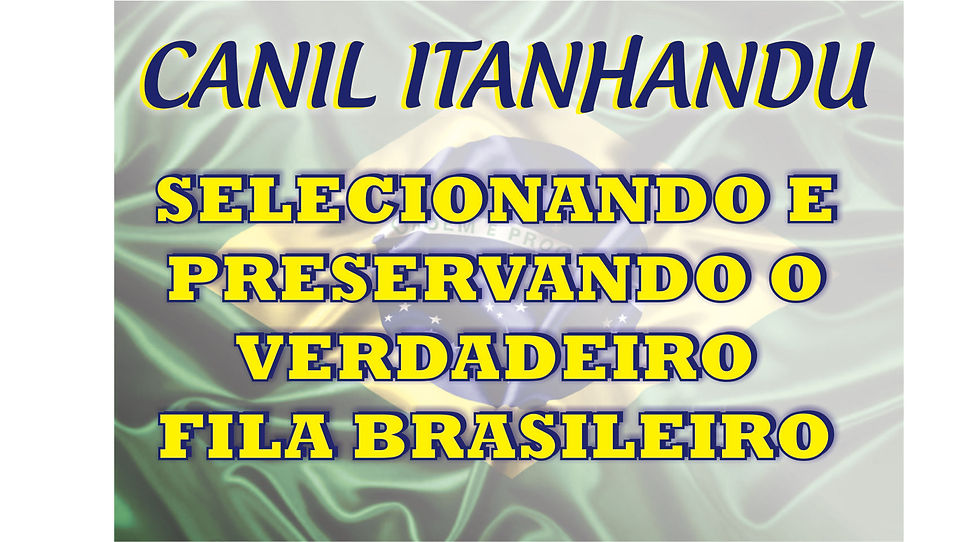 CANIL ITANHANDU - FILA BRASILEIRO CAFIB