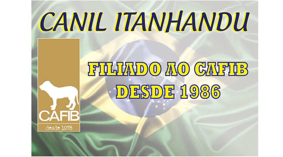 CANIL ITANHANDU - FILA BRASILEIRO