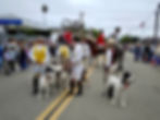 Old Santa Ynez Days Parade