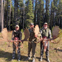 Moose hunting, BC and Alberta