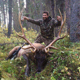 Elk hunting, BC and Alberta