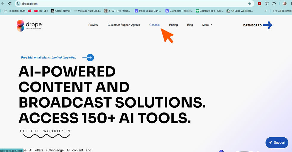 Arrow pointing where to the drope AI console where a user after logging in can chat with AI chatbot experts
