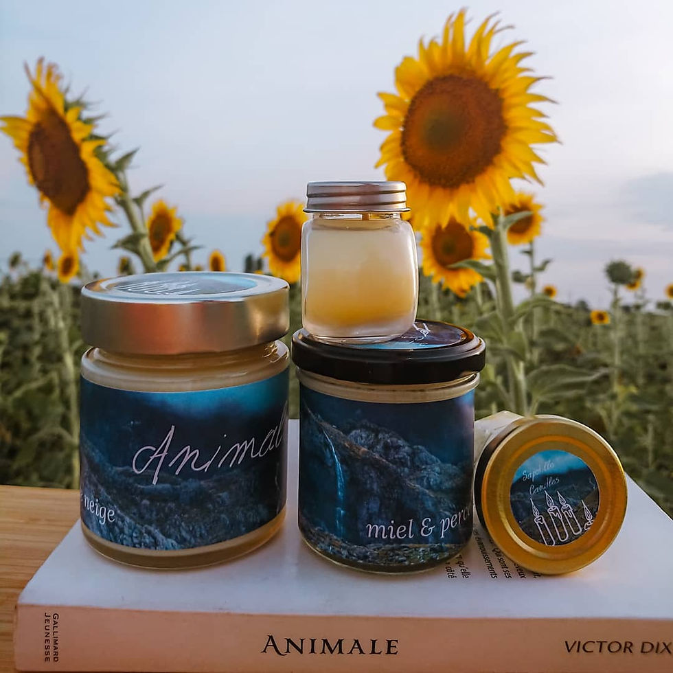 Miniature : Bougie parfumée - Animale