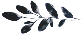 Leaf-1_edited.png