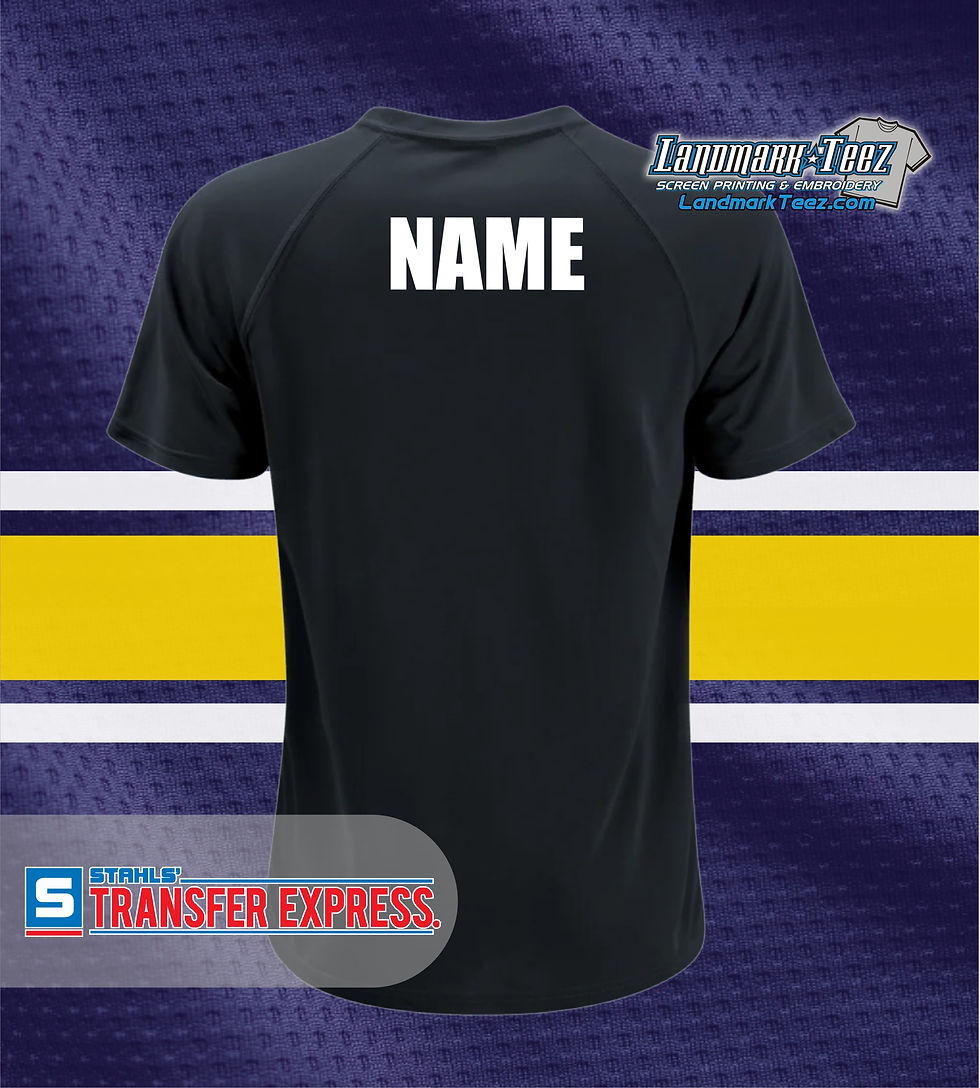 Thumbnail: Dutchtown Eagles Screen Printed Name