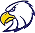 DMS-eagle.png