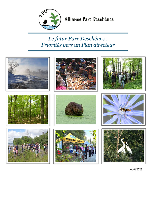 Vers un plan photo couverture 2025-10-28.png