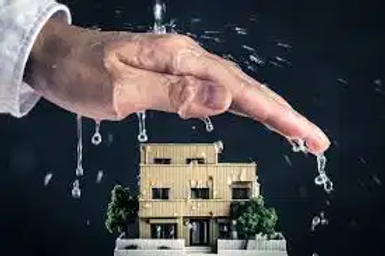 Wp 1.webp