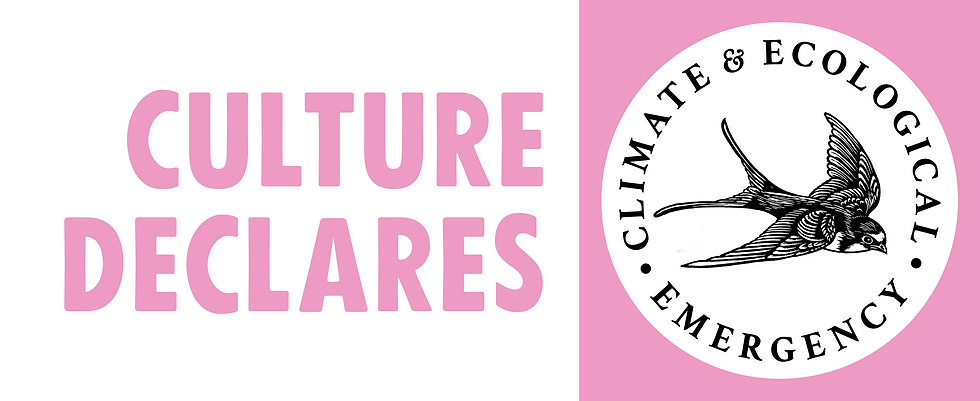 Culture Declares Emergency
