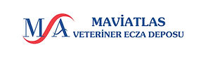 mavi atlas logo.jpg