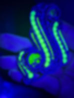 20250109_095135